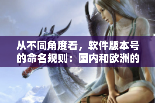 從不同角度看，軟件版本號的命名規(guī)則：國內(nèi)和歐洲的差異分析