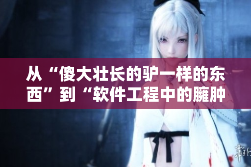 從“傻大壯長的驢一樣的東西”到“軟件工程中的臃腫代碼”