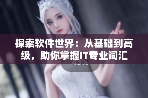 探索軟件世界：從基礎(chǔ)到高級，助你掌握IT專業(yè)詞匯