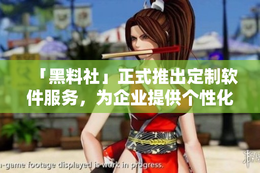 「黑料社」正式推出定制軟件服務(wù)，為企業(yè)提供個(gè)性化解決方案