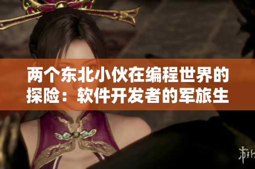 兩個(gè)東北小伙在編程世界的探險(xiǎn)：軟件開發(fā)者的軍旅生活
