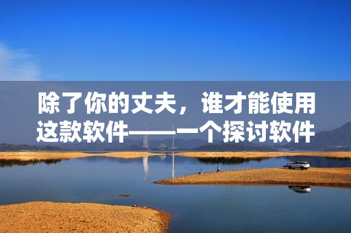 除了你的丈夫，誰才能使用這款軟件——一個探討軟件許可證的報告