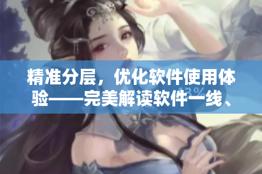 精準(zhǔn)分層，優(yōu)化軟件使用體驗——完美解讀軟件一線、二線、三線分級管理策略