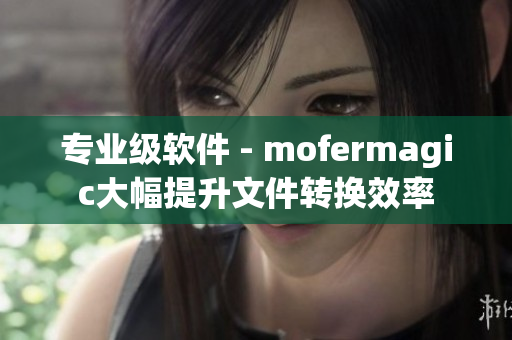專(zhuān)業(yè)級(jí)軟件 - mofermagic大幅提升文件轉(zhuǎn)換效率