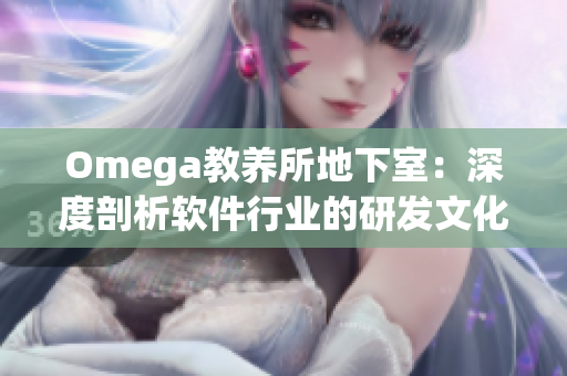 Omega教養(yǎng)所地下室：深度剖析軟件行業(yè)的研發(fā)文化與團隊協(xié)作