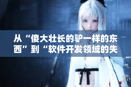 從“傻大壯長(zhǎng)的驢一樣的東西”到“軟件開(kāi)發(fā)領(lǐng)域的失敗案例分析”