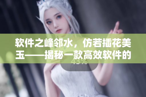 軟件之峰鄰水，仿若插花美玉——揭秘一款高效軟件的設(shè)計(jì)過程