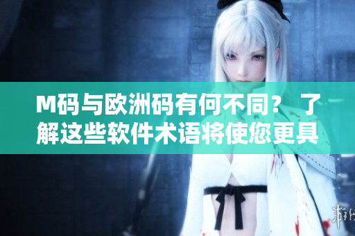 M碼與歐洲碼有何不同？ 了解這些軟件術(shù)語將使您更具親和力