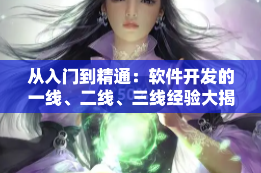 從入門到精通：軟件開發(fā)的一線、二線、三線經(jīng)驗大揭秘