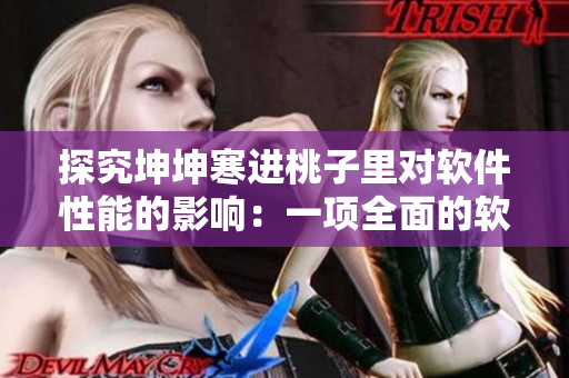 探究坤坤寒進(jìn)桃子里對(duì)軟件性能的影響：一項(xiàng)全面的軟件測(cè)試研究