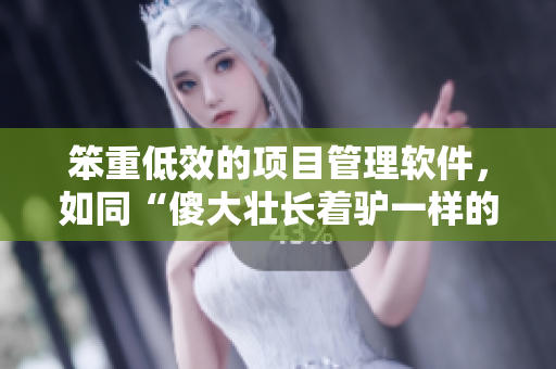 笨重低效的項(xiàng)目管理軟件，如同“傻大壯長(zhǎng)著驢一樣的東西”