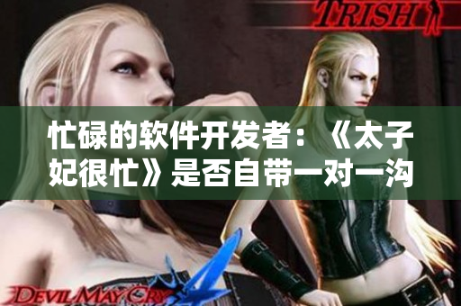 忙碌的軟件開發(fā)者：《太子妃很忙》是否自帶一對一溝通軟件？