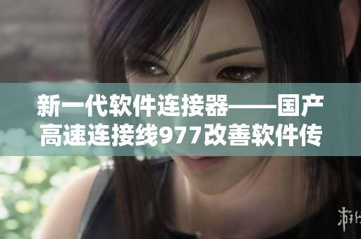 新一代軟件連接器——國產(chǎn)高速連接線977改善軟件傳輸速度