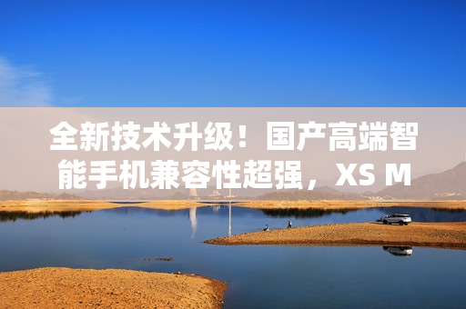 全新技術(shù)升級！國產(chǎn)高端智能手機兼容性超強，XS Max終于支持最新軟件