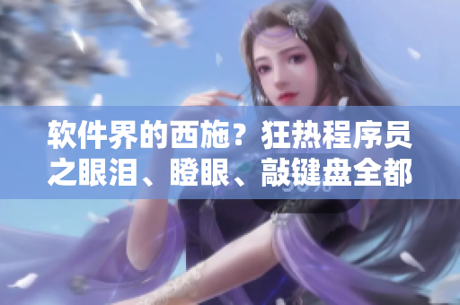 軟件界的西施？狂熱程序員之眼淚、瞪眼、敲鍵盤全都上演！