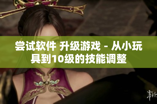 嘗試軟件 升級游戲 - 從小玩具到10級的技能調整