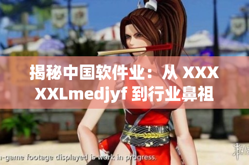 揭秘中國軟件業(yè)：從 XXXXXLmedjyf 到行業(yè)鼻祖