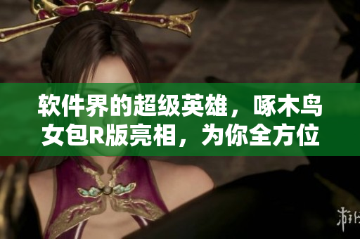 軟件界的超級(jí)英雄，啄木鳥女包R版亮相，為你全方位保護(hù)數(shù)據(jù)安全