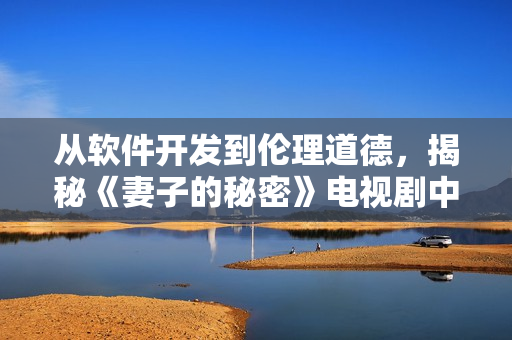 從軟件開發(fā)到倫理道德，揭秘《妻子的秘密》電視劇中的軟件行業(yè)黑幕
