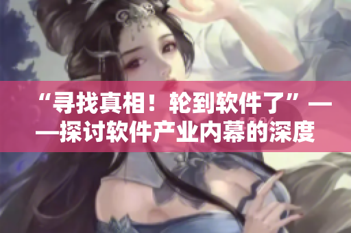 “尋找真相！輪到軟件了”——探討軟件產(chǎn)業(yè)內(nèi)幕的深度報(bào)道