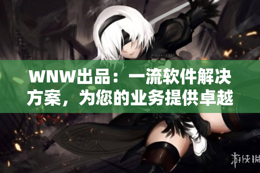 WNW出品：一流軟件解決方案，為您的業(yè)務(wù)提供卓越支持與優(yōu)化