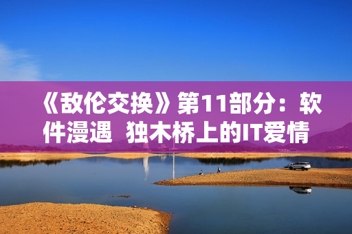 《敵倫交換》第11部分：軟件漫遇  獨木橋上的IT愛情故事