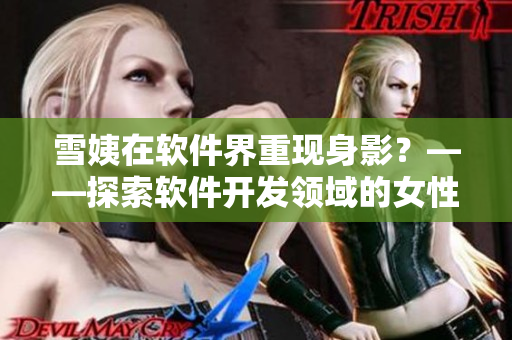 雪姨在軟件界重現(xiàn)身影？——探索軟件開發(fā)領(lǐng)域的女性力量