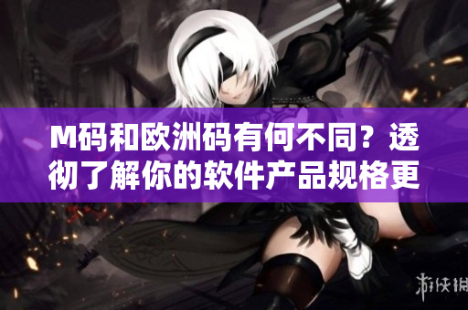 M碼和歐洲碼有何不同？透徹了解你的軟件產(chǎn)品規(guī)格更容易！