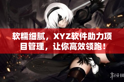 軟糯細(xì)膩，XYZ軟件助力項(xiàng)目管理，讓你高效領(lǐng)跑！