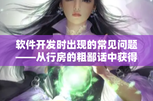 軟件開(kāi)發(fā)時(shí)出現(xiàn)的常見(jiàn)問(wèn)題——從行房的粗鄙話(huà)中獲得靈感