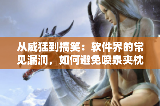 從威猛到搞笑：軟件界的常見(jiàn)漏洞，如何避免噴泉夾枕頭事件的發(fā)生？