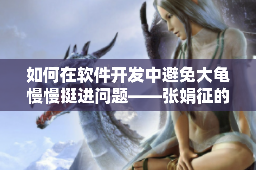 如何在軟件開發(fā)中避免大龜慢慢挺進(jìn)問題——張娟征的休