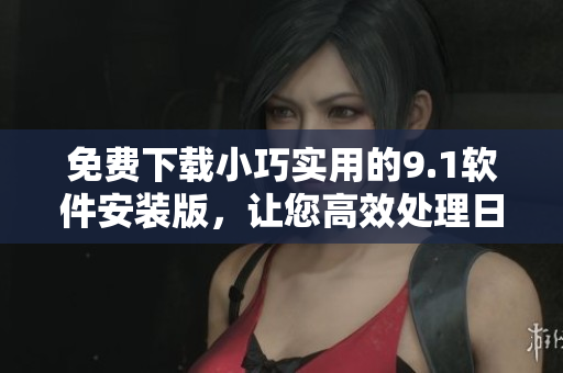 免費(fèi)下載小巧實(shí)用的9.1軟件安裝版，讓您高效處理日常工作。