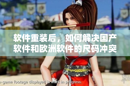 軟件重裝后，如何解決國(guó)產(chǎn)軟件和歐洲軟件的尺碼沖突？
