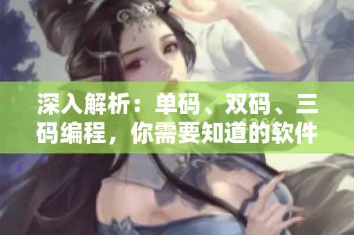 深入解析：單碼、雙碼、三碼編程，你需要知道的軟件開發(fā)區(qū)別