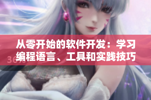 從零開始的軟件開發(fā)：學(xué)習(xí)編程語言、工具和實(shí)踐技巧