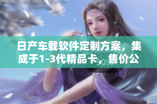 日產(chǎn)車載軟件定制方案，集成于1-3代精品卡，售價(jià)公布