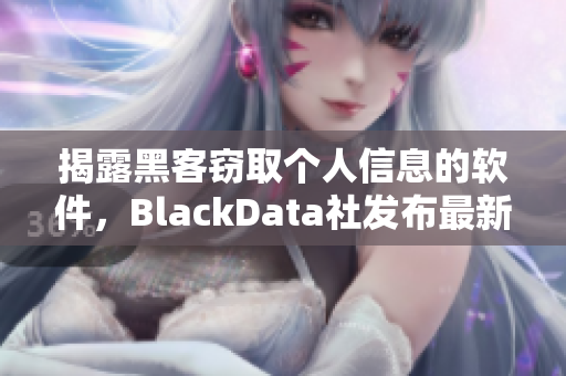 揭露黑客竊取個人信息的軟件，BlackData社發(fā)布最新報告