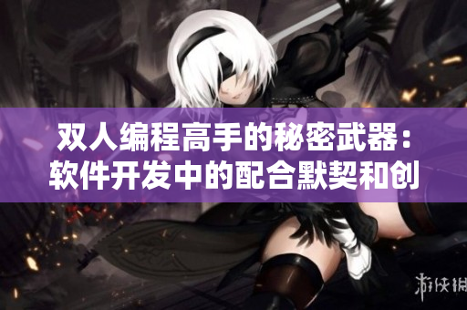 雙人編程高手的秘密武器：軟件開發(fā)中的配合默契和創(chuàng)意碰撞