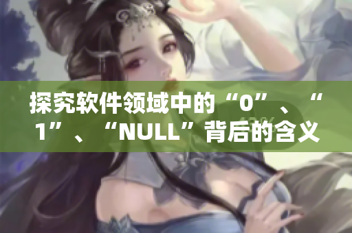 探究軟件領域中的“0”、“1”、“NULL”背后的含義與作用