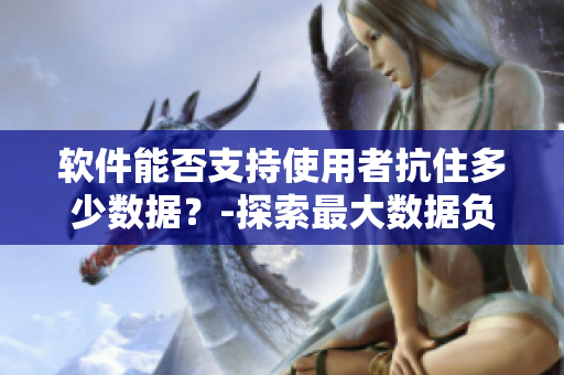 軟件能否支持使用者抗住多少數(shù)據(jù)？-探索最大數(shù)據(jù)負荷能力
