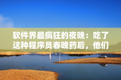 軟件界最瘋狂的夜晚：吃了這種程序員春晚藥后，他們開啟了前所未有的編程大賽！