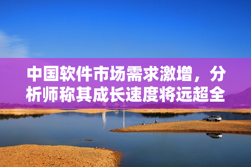 中國軟件市場需求激增，分析師稱其成長速度將遠超全球平均水平