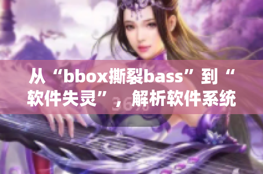 從“bbox撕裂bass”到“軟件失靈”，解析軟件系統(tǒng)重要性