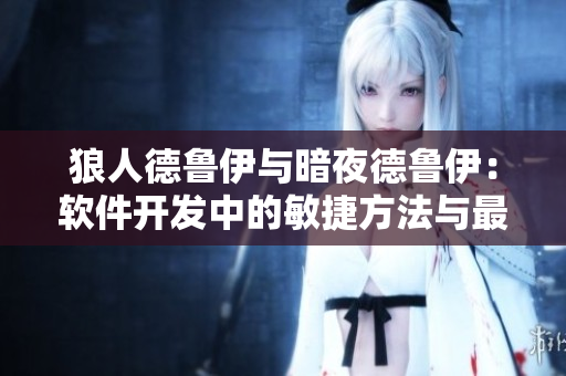 狼人德魯伊與暗夜德魯伊：軟件開發(fā)中的敏捷方法與最佳實踐