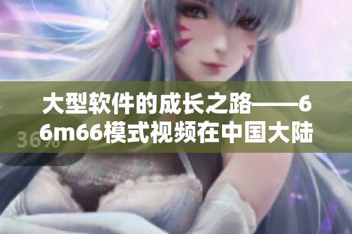 大型軟件的成長之路——66m66模式視頻在中國大陸的應(yīng)用案例分析