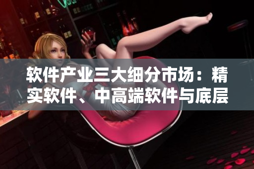 軟件產(chǎn)業(yè)三大細分市場：精實軟件、中高端軟件與底層軟件