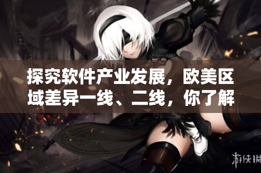 探究軟件產(chǎn)業(yè)發(fā)展，歐美區(qū)域差異一線、二線，你了解嗎？