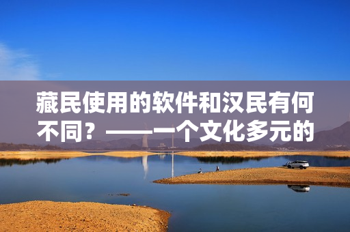 藏民使用的軟件和漢民有何不同？——一個(gè)文化多元的軟件視角