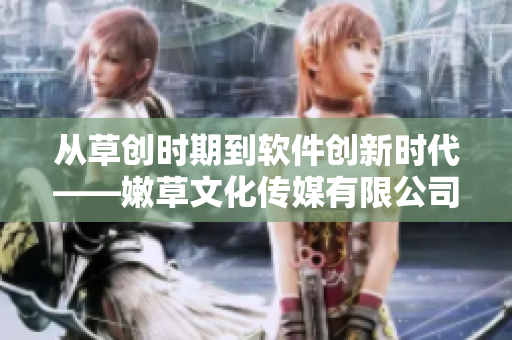 從草創(chuàng)時期到軟件創(chuàng)新時代——嫩草文化傳媒有限公司的軟件成立歷程